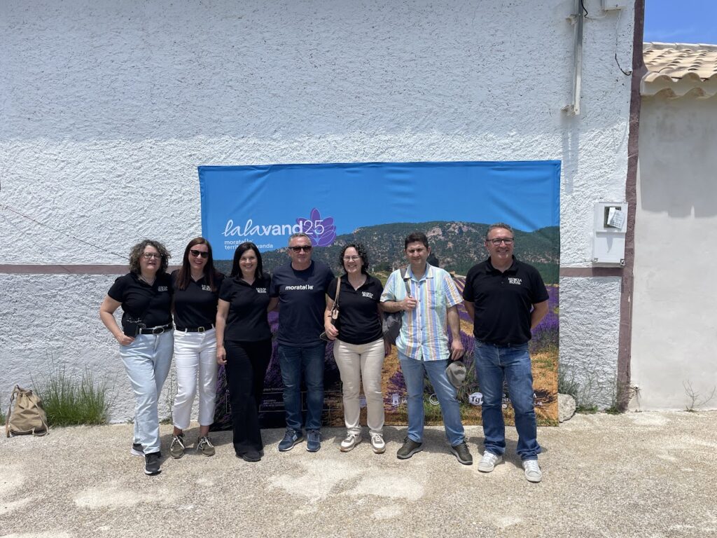 MurciaRuralTerritorioLavanda