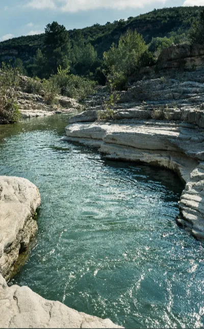 Naturaleza