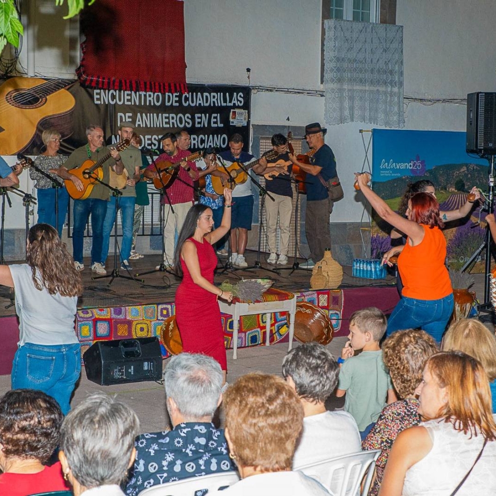 encuentrodeanimeros